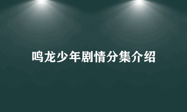 鸣龙少年剧情分集介绍