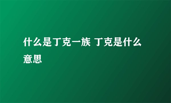 什么是丁克一族 丁克是什么意思
