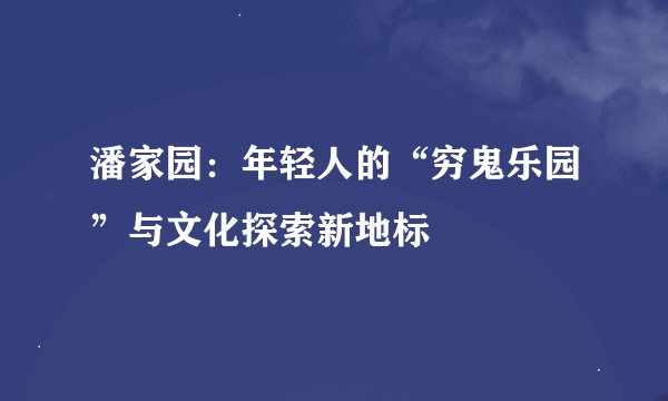 潘家园：年轻人的“穷鬼乐园”与文化探索新地标