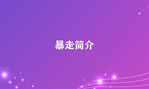 暴走简介