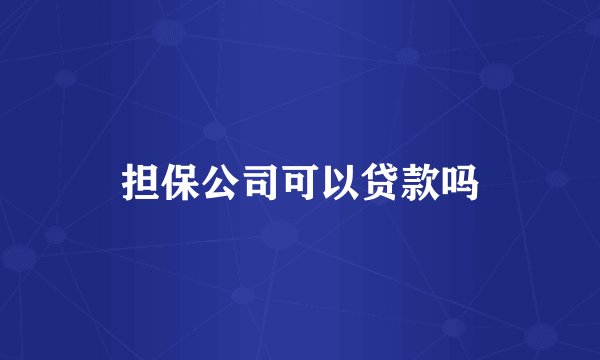 担保公司可以贷款吗