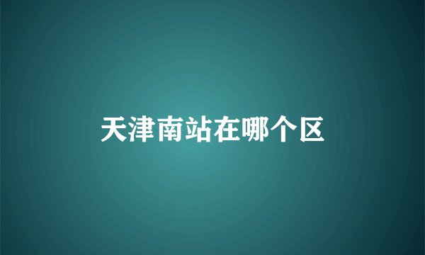 天津南站在哪个区