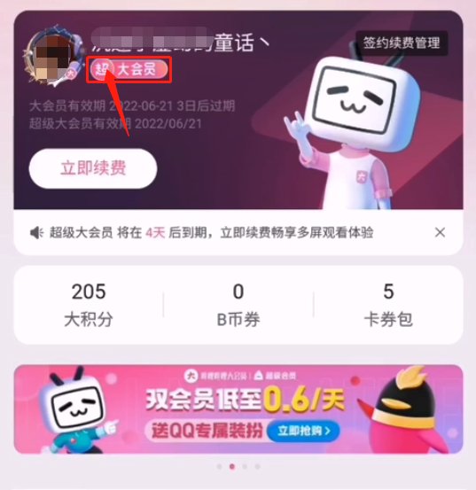 b站大会员和超级大会员的区别