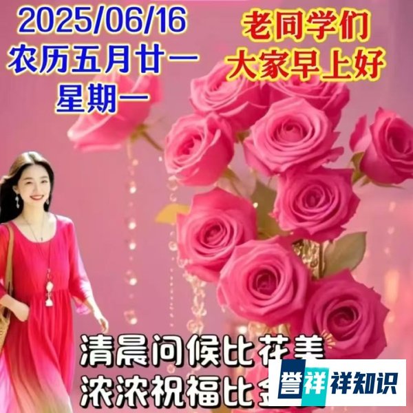 早上好祝福创意表情包图片带字带问候语，今日最新早上好问候语精