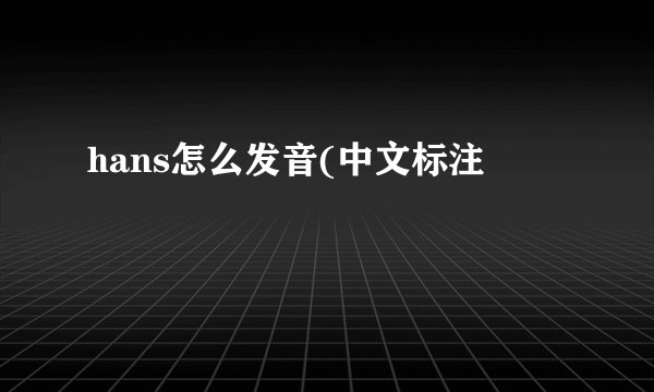 hans怎么发音(中文标注