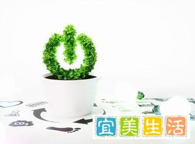 最牛90后美女，28岁成为电子科技大学的副院长、博导