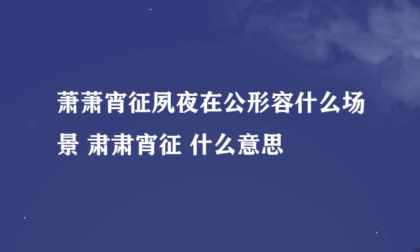 萧萧宵征夙夜在公形容什么场景 肃肃宵征 什么意思