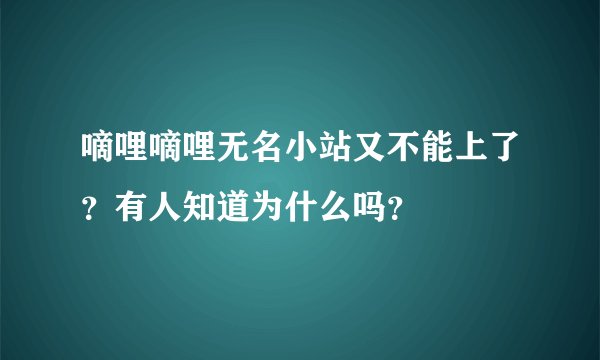 嘀哩嘀哩无名小站又不能上了？有人知道为什么吗？