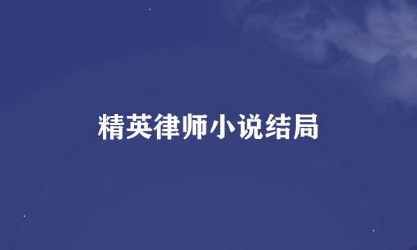 精英律师小说结局