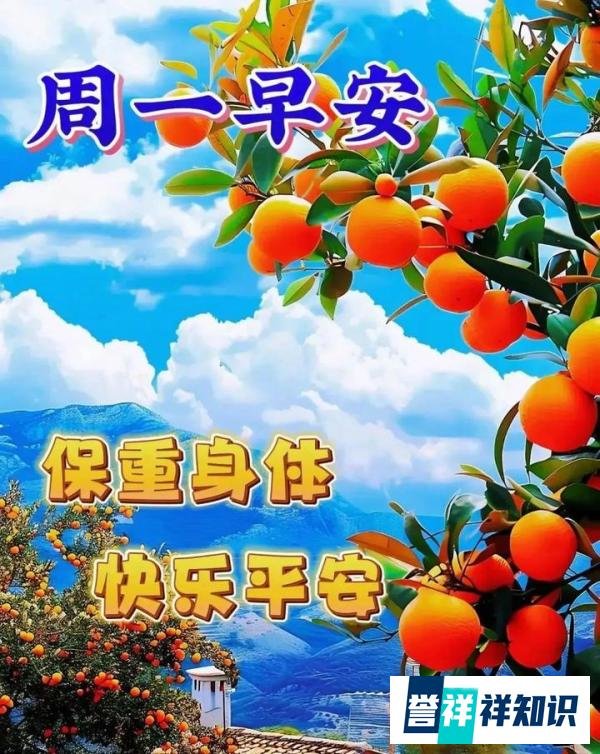 早上好祝福创意表情包图片带字带问候语，今日最新早上好问候语精
