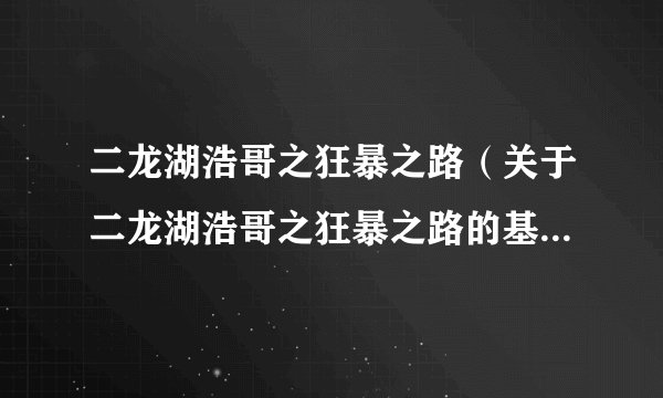 二龙湖浩哥之狂暴之路（关于二龙湖浩哥之狂暴之路的基本详情介绍）