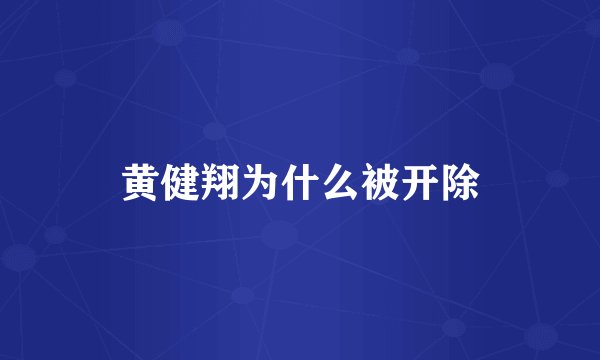 黄健翔为什么被开除