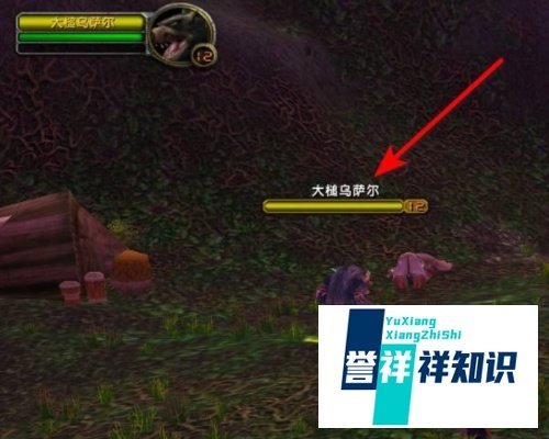 魔兽世界救萨尔的任务