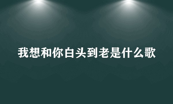 我想和你白头到老是什么歌