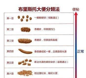 《大便书》读书笔记 —— 正视大便就是正式我们自己