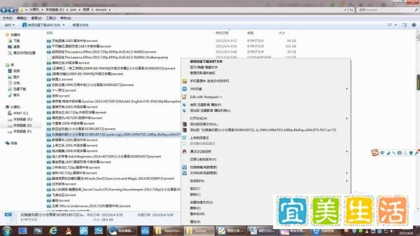 BT种子文件的两种使用方法