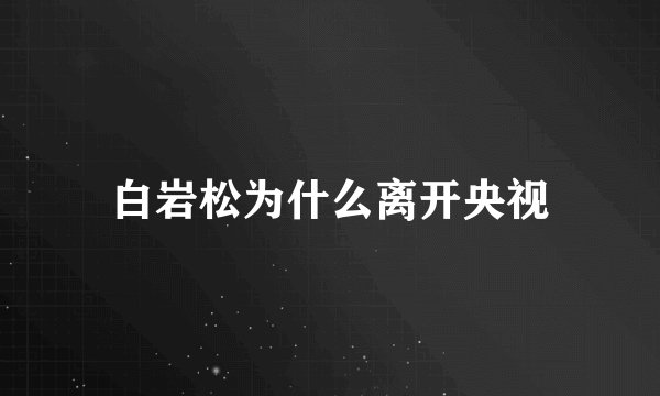 白岩松为什么离开央视