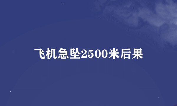 飞机急坠2500米后果
