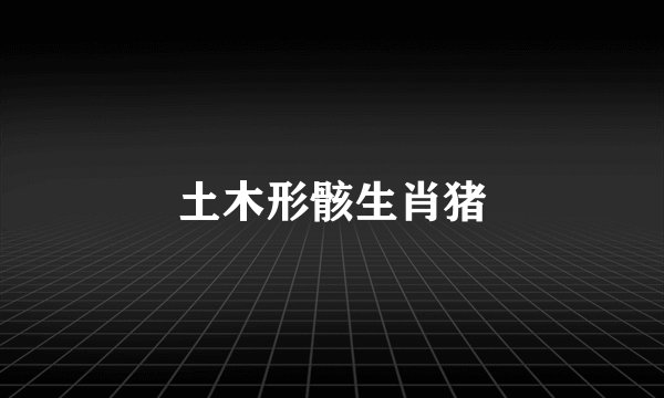 土木形骸生肖猪