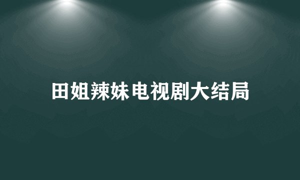 田姐辣妹电视剧大结局