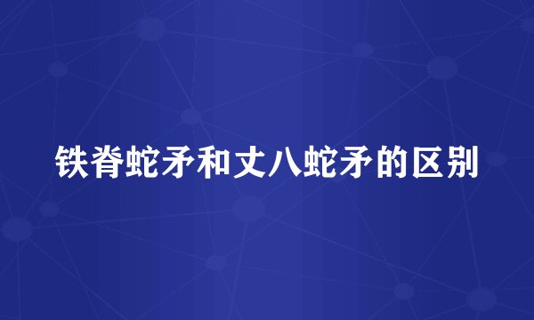 铁脊蛇矛和丈八蛇矛的区别