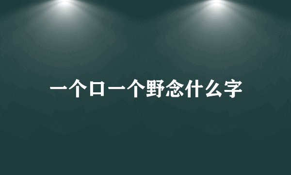 一个口一个野念什么字