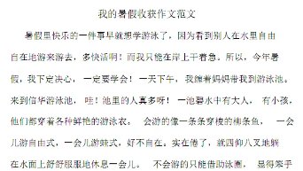 写作文用什么字体？