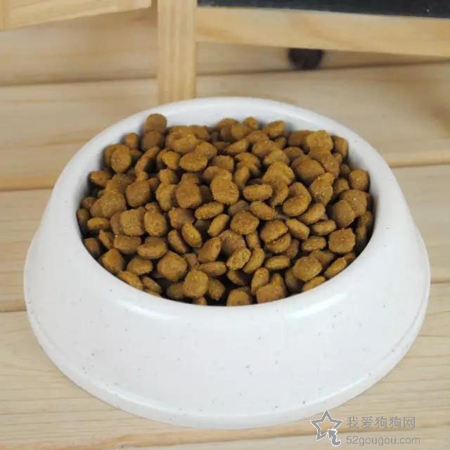 狗粮怎么泡才正确方法