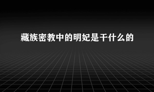 藏族密教中的明妃是干什么的