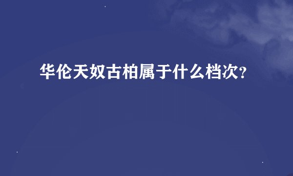 华伦天奴古柏属于什么档次？