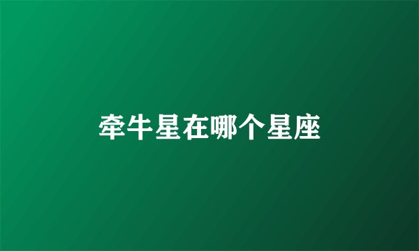 牵牛星在哪个星座