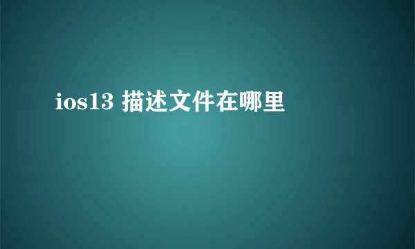 ios13 描述文件在哪里