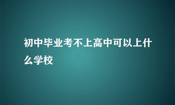 初中毕业考不上高中可以上什么学校