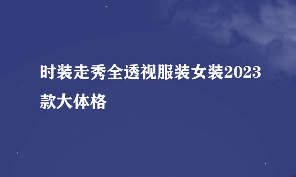 时装走秀全透视服装女装2023款大体格