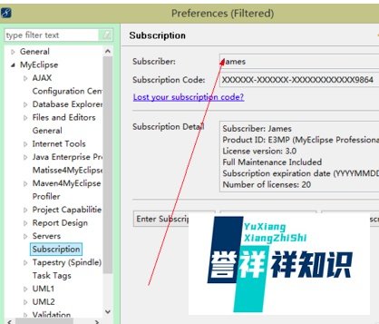试用结束后，MyEclipse如何进行激活。