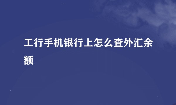 工行手机银行上怎么查外汇余额