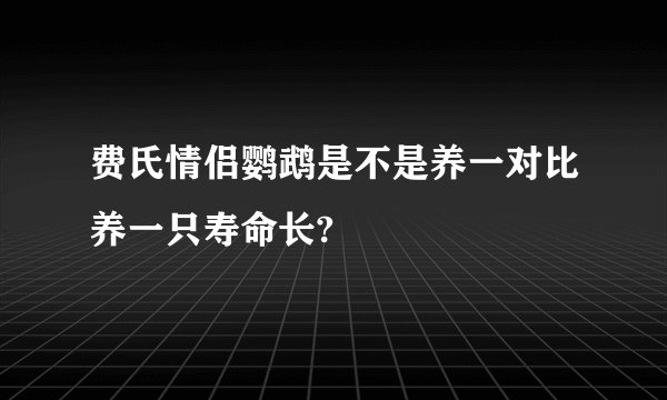 费氏情侣鹦鹉是不是养一对比养一只寿命长?