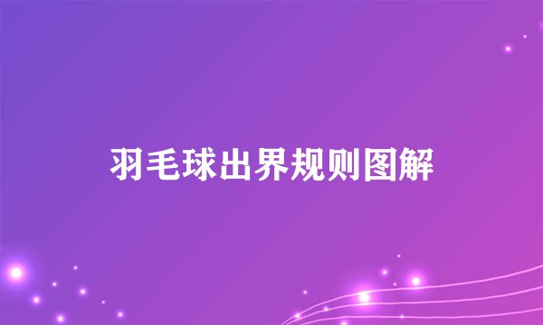 羽毛球出界规则图解