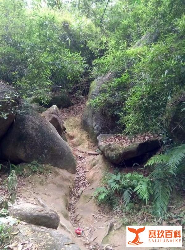 凤凰山旅游攻略