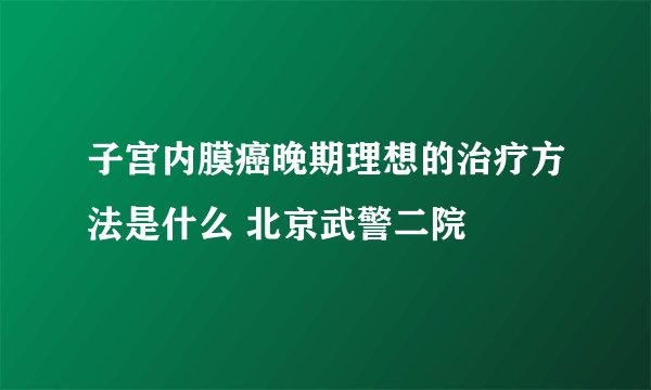 子宫内膜癌晚期理想的治疗方法是什么 北京武警二院