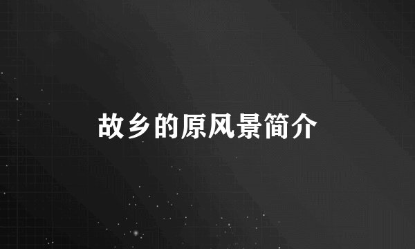 故乡的原风景简介