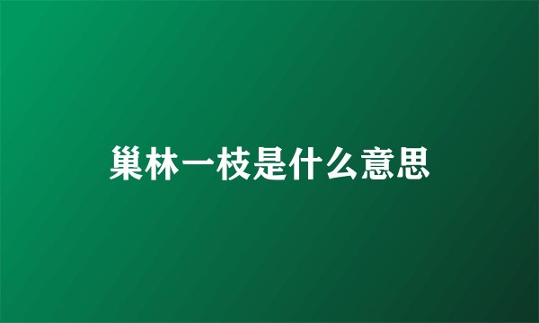 巢林一枝是什么意思