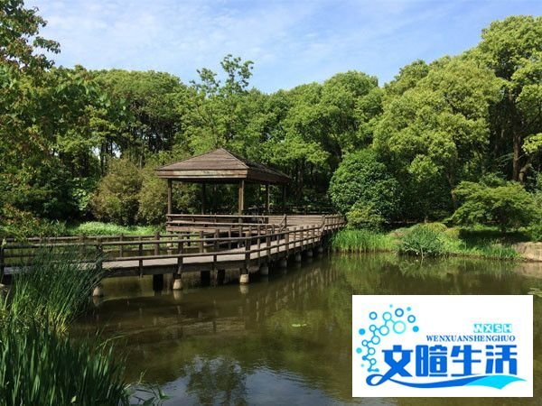 滨江森林公园游玩攻略