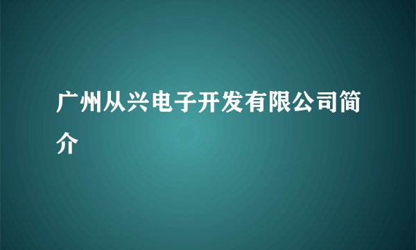 广州从兴电子开发有限公司简介