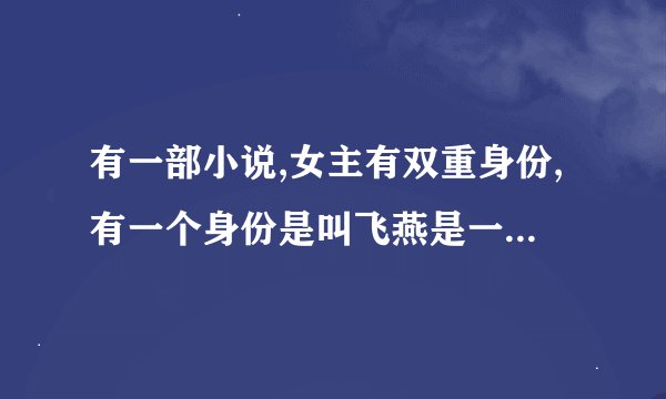 有一部小说,女主有双重身份,有一个身份是叫飞燕是一个小偷，另一个身份是王妃,这部小说叫什么名字？