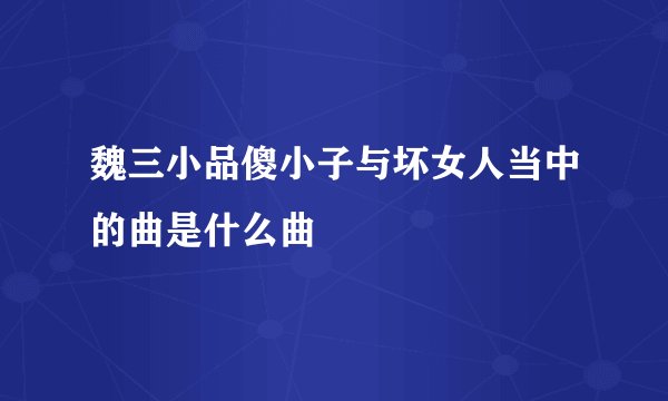 魏三小品傻小子与坏女人当中的曲是什么曲