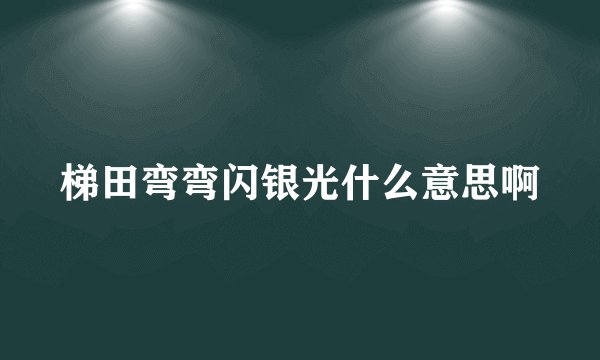 梯田弯弯闪银光什么意思啊