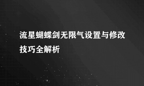 流星蝴蝶剑无限气设置与修改技巧全解析
