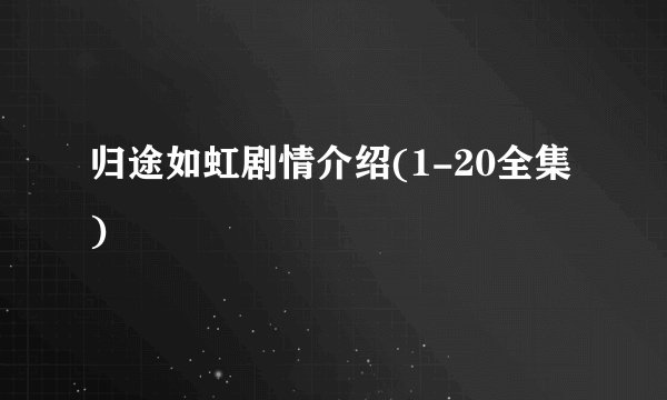 归途如虹剧情介绍(1-20全集)