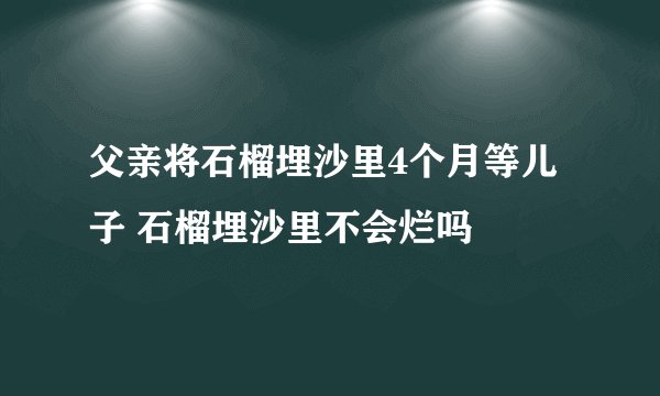 父亲将石榴埋沙里4个月等儿子 石榴埋沙里不会烂吗